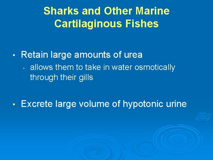 Sharks and Other Marine Cartilaginous Fishes • Retain large amounts of urea • •