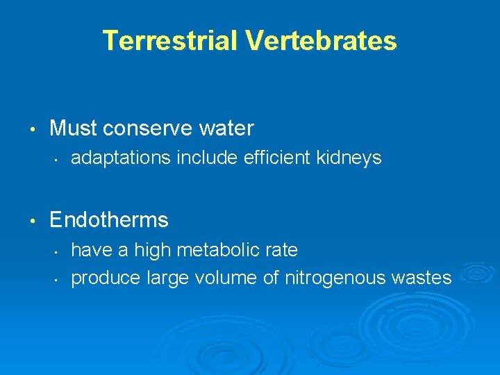 Terrestrial Vertebrates • Must conserve water • • adaptations include efficient kidneys Endotherms •