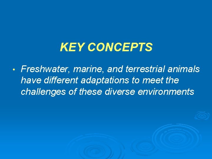 KEY CONCEPTS • Freshwater, marine, and terrestrial animals have different adaptations to meet the