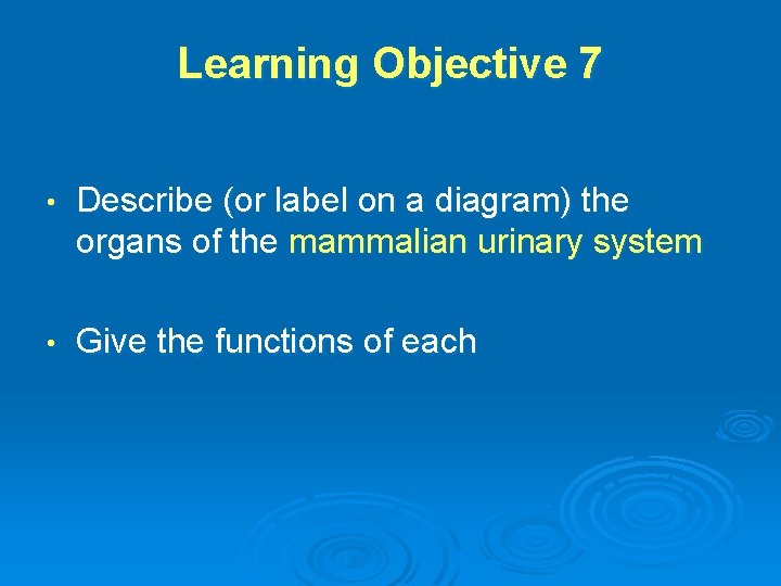 Learning Objective 7 • Describe (or label on a diagram) the organs of the