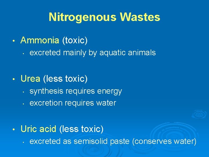 Nitrogenous Wastes • Ammonia (toxic) • • Urea (less toxic) • • • excreted
