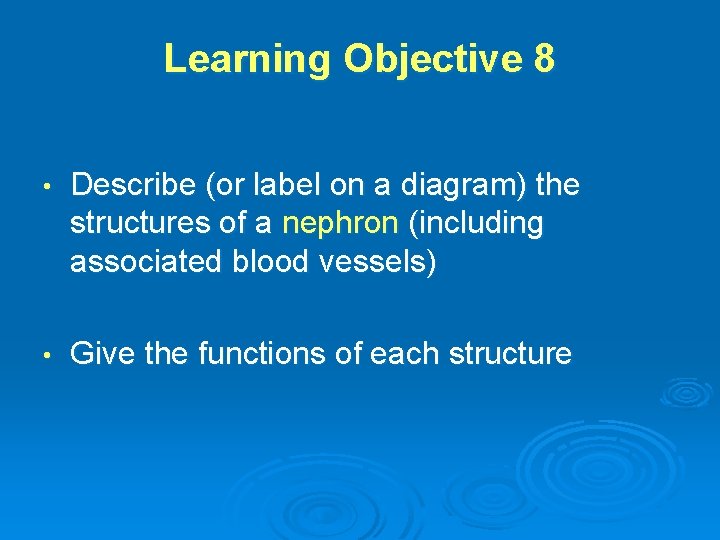 Learning Objective 8 • Describe (or label on a diagram) the structures of a
