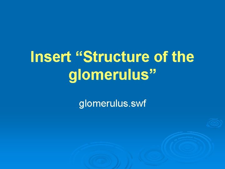 Insert “Structure of the glomerulus” glomerulus. swf 
