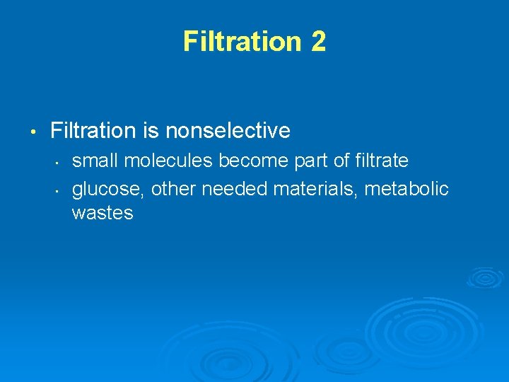 Filtration 2 • Filtration is nonselective • • small molecules become part of filtrate
