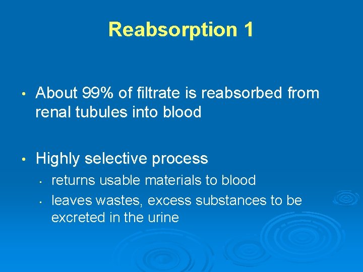 Reabsorption 1 • About 99% of filtrate is reabsorbed from renal tubules into blood