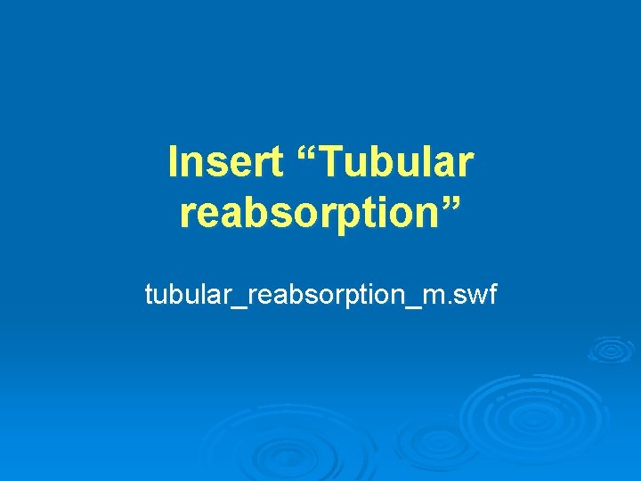 Insert “Tubular reabsorption” tubular_reabsorption_m. swf 