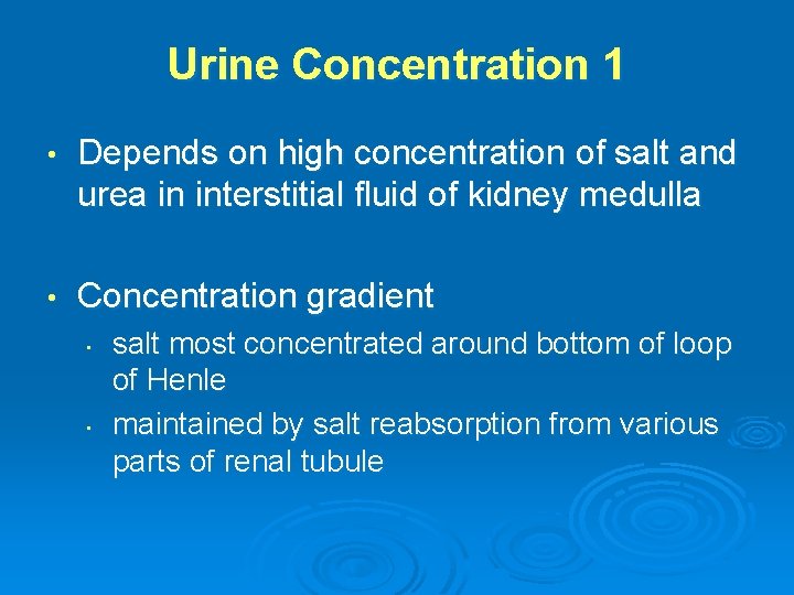 Urine Concentration 1 • Depends on high concentration of salt and urea in interstitial