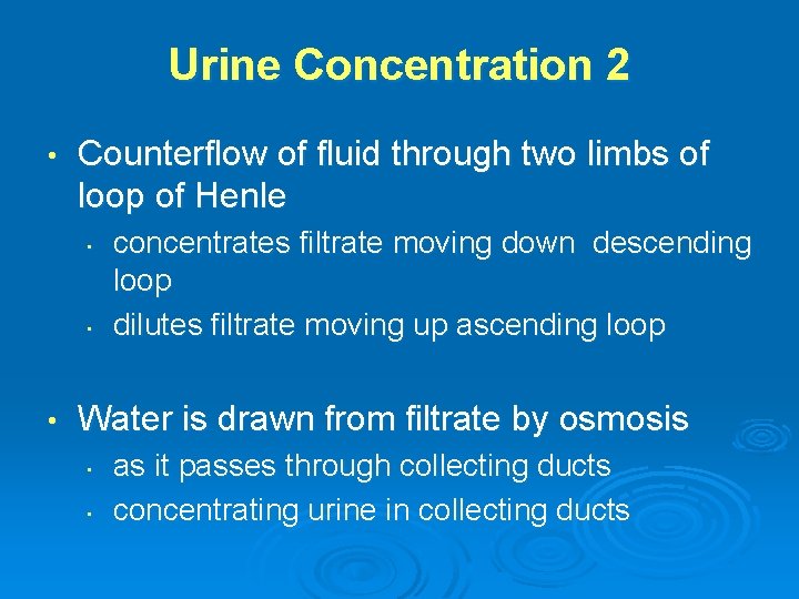 Urine Concentration 2 • Counterflow of fluid through two limbs of loop of Henle