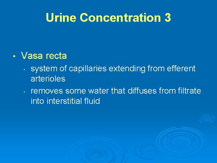 Urine Concentration 3 • Vasa recta • • system of capillaries extending from efferent