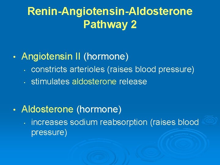 Renin-Angiotensin-Aldosterone Pathway 2 • Angiotensin II (hormone) • • • constricts arterioles (raises blood