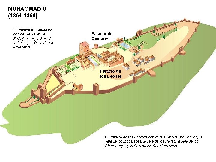 MUHAMMAD V (1354 -1359) El Palacio de Comares consta del Salón de Embajadores, la