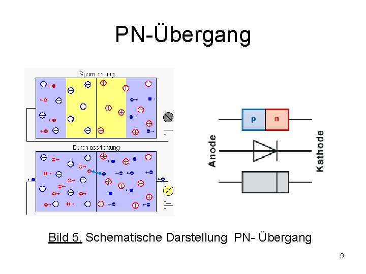 PN-Übergang Bild 5. Schematische Darstellung PN- Übergang 9 