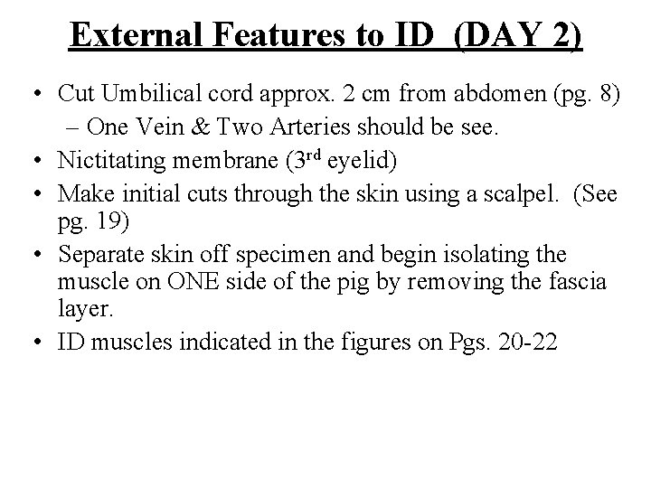 External Features to ID (DAY 2) • Cut Umbilical cord approx. 2 cm from