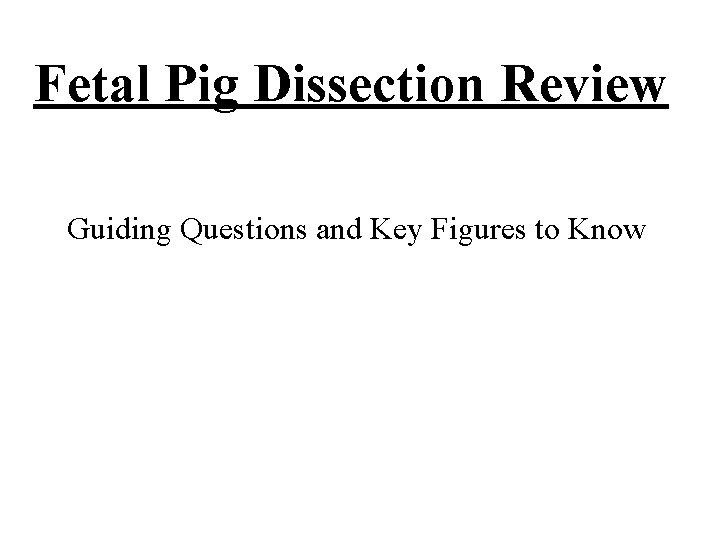 Fetal Pig Dissection Review Guiding Questions and Key Figures to Know 