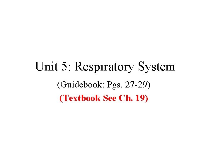 Unit 5: Respiratory System (Guidebook: Pgs. 27 -29) (Textbook See Ch. 19) 