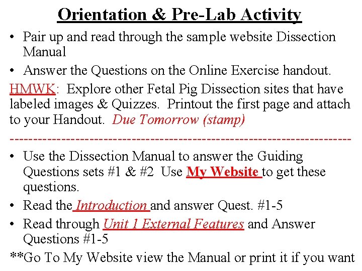 Orientation & Pre-Lab Activity • Pair up and read through the sample website Dissection