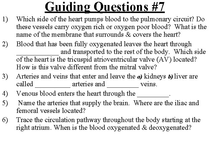 Guiding Questions #7 1) 2) 3) 4) 5) 6) Which side of the heart