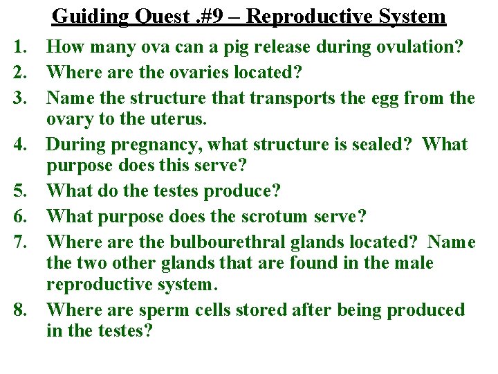 Guiding Quest. #9 – Reproductive System 1. How many ova can a pig release