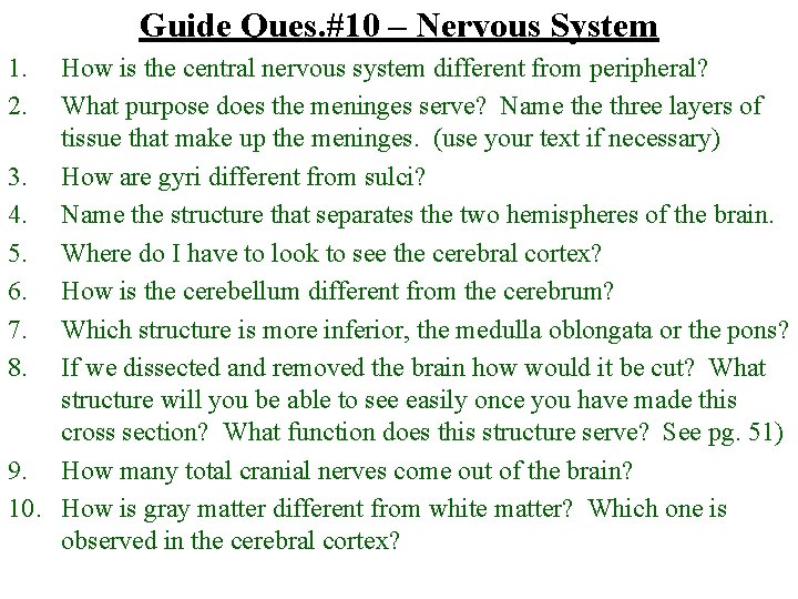 Guide Ques. #10 – Nervous System 1. 2. How is the central nervous system