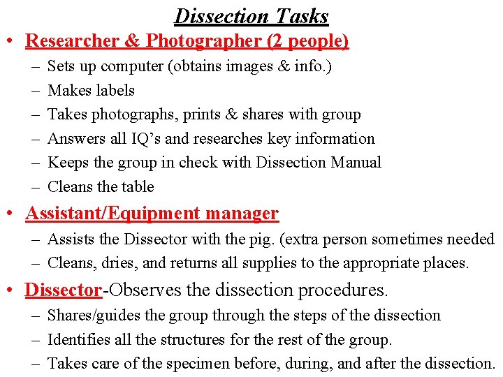 Dissection Tasks • Researcher & Photographer (2 people) – – – Sets up computer