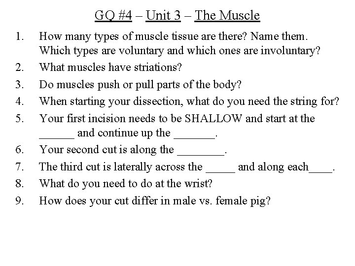 GQ #4 – Unit 3 – The Muscle 1. 2. 3. 4. 5. 6.