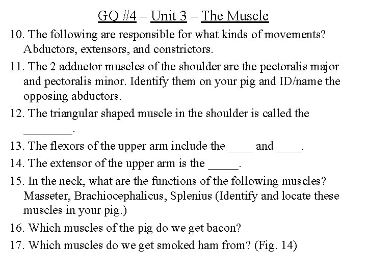 GQ #4 – Unit 3 – The Muscle 10. The following are responsible for