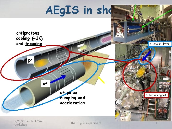 AEg. IS in short antiprotons cooling (~1 K) and trapping e+ accumulator p- e+