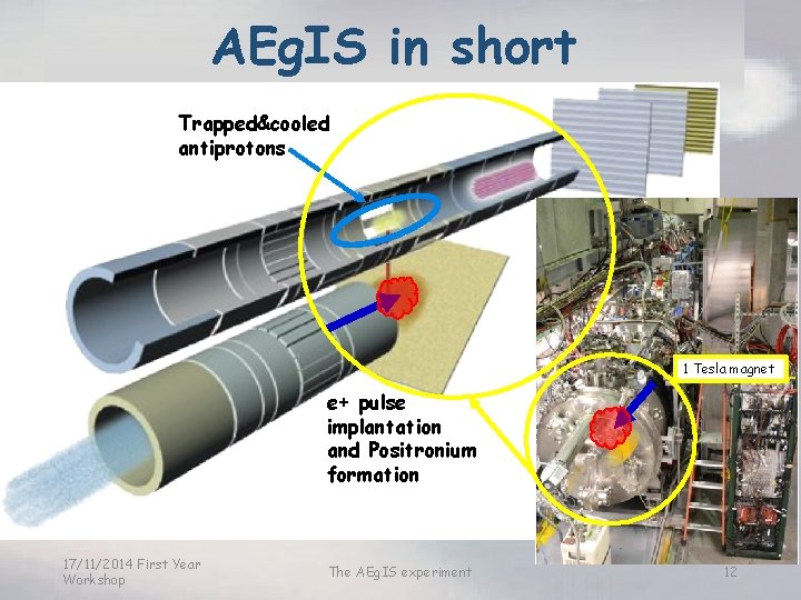 AEg. IS in short Trapped&cooled antiprotons 1 Tesla magnet e+ pulse implantation and Positronium