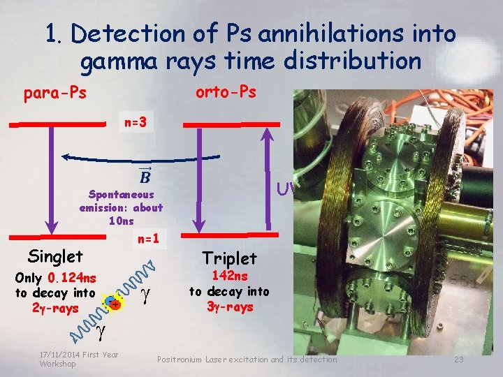 1. Detection of Ps annihilations into gamma rays time distribution orto-Ps para-Ps n=3 UV