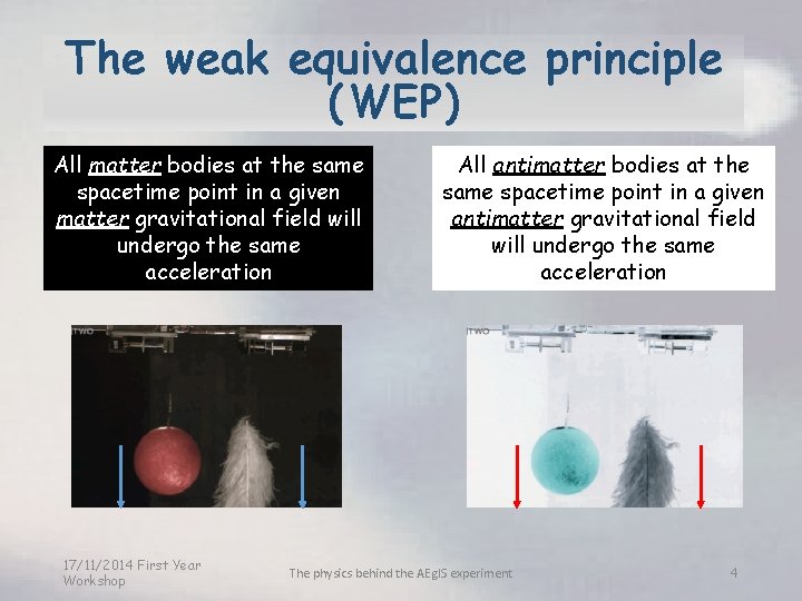 The weak equivalence principle (WEP) All matter bodies at the same spacetime point in