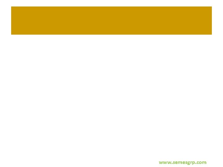 www. semesgrp. com 