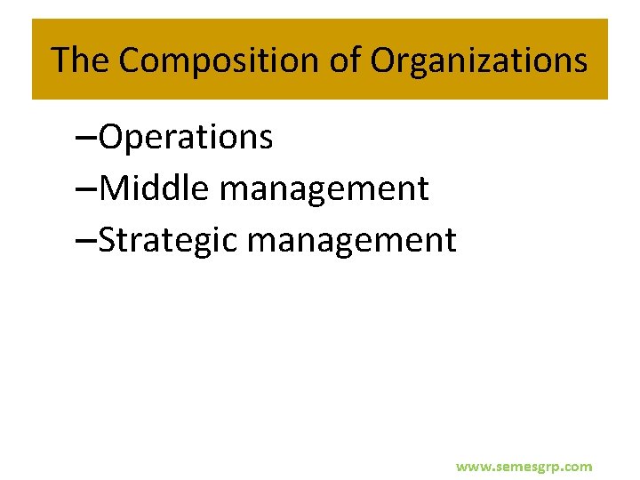 The Composition of Organizations –Operations –Middle management –Strategic management www. semesgrp. com 