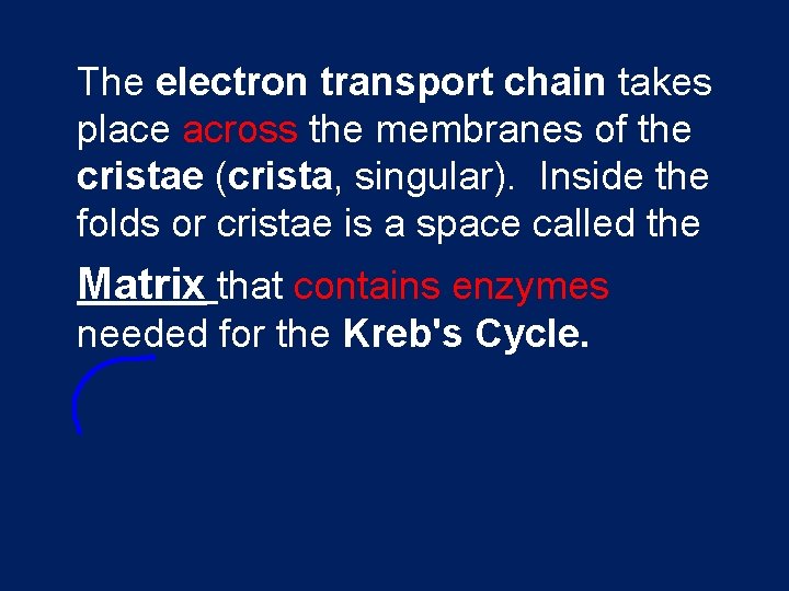 The electron transport chain takes place across the membranes of the cristae (crista, singular).