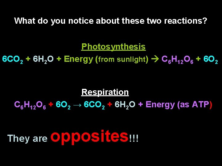 What do you notice about these two reactions? Photosynthesis 6 CO 2 + 6
