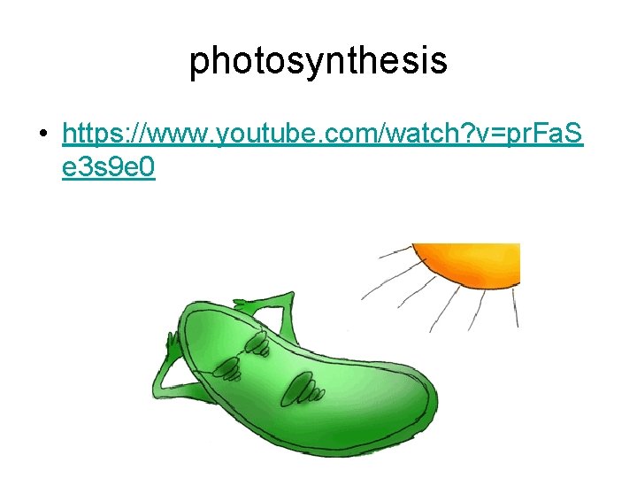 photosynthesis • https: //www. youtube. com/watch? v=pr. Fa. S e 3 s 9 e