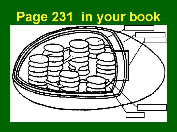 Page 231 in your book 