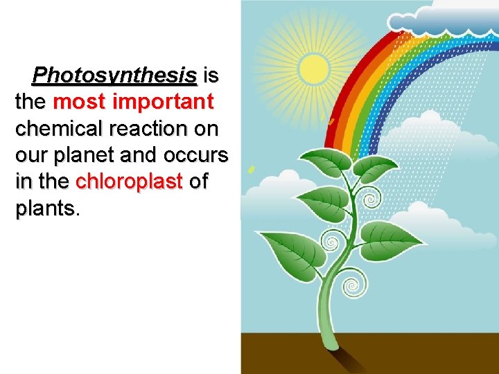  Photosynthesis is the most important chemical reaction on our planet and occurs in