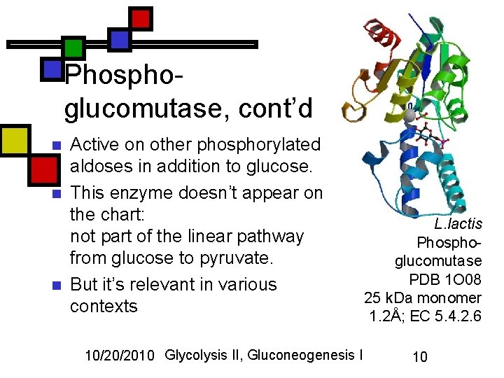 Phosphoglucomutase, cont’d n n n Active on other phosphorylated aldoses in addition to glucose.