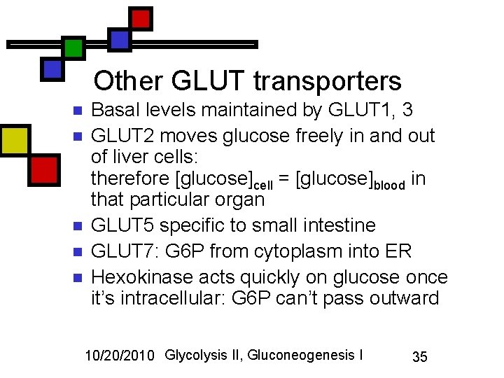 Other GLUT transporters n n n Basal levels maintained by GLUT 1, 3 GLUT
