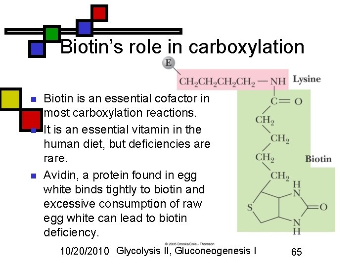 Biotin’s role in carboxylation n Biotin is an essential cofactor in most carboxylation reactions.