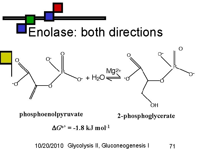 Enolase: both directions phosphoenolpyruvate 2 -phosphoglycerate Go’ = -1. 8 k. J mol-1 10/20/2010