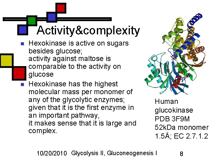 Activity&complexity n n Hexokinase is active on sugars besides glucose; activity against maltose is