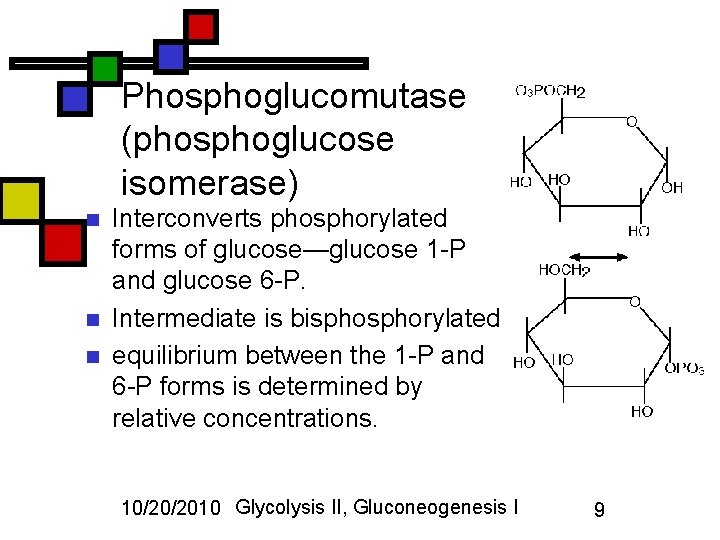 Phosphoglucomutase (phosphoglucose isomerase) n n n Interconverts phosphorylated forms of glucose—glucose 1 -P and