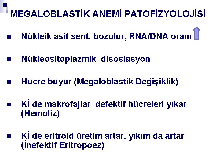 MEGALOBLASTİK ANEMİ PATOFİZYOLOJİSİ n Nükleik asit sent. bozulur, RNA/DNA oranı n Nükleositoplazmik disosiasyon n