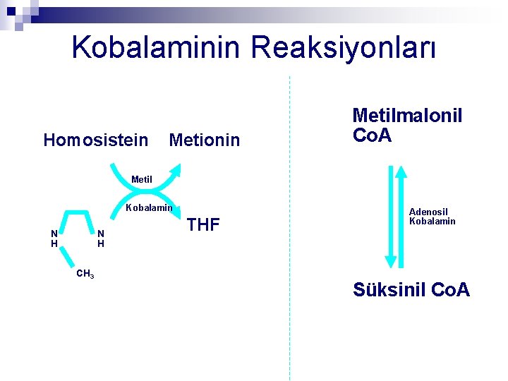 Kobalaminin Reaksiyonları Homosistein Metionin Metilmalonil Co. A Metil Kobalamin N H CH 3 THF