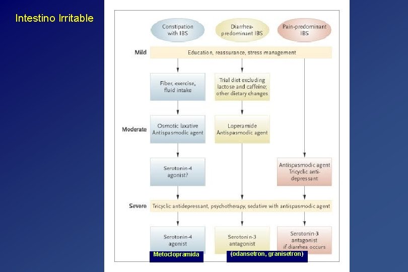 Intestino Irritable Metoclopramida (odansetron, granisetron) 