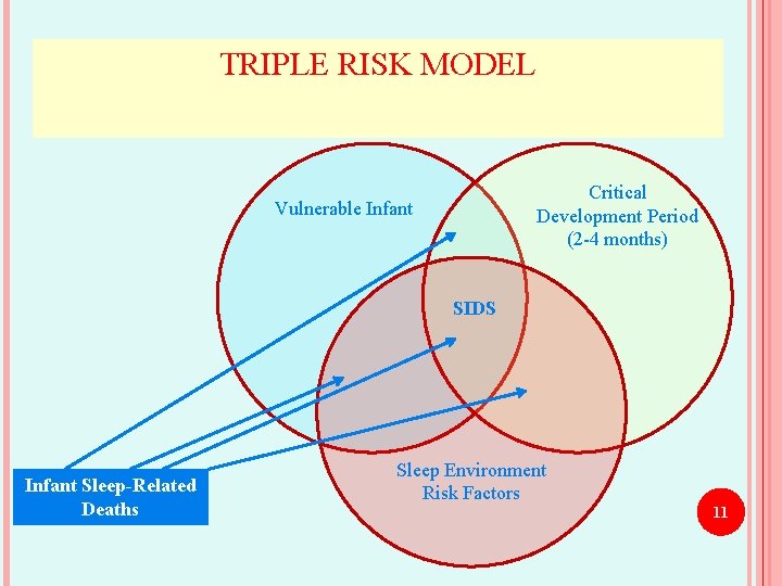 TRIPLE RISK MODEL Critical Development Period (2 -4 months) Vulnerable Infant SIDS Infant Sleep-Related