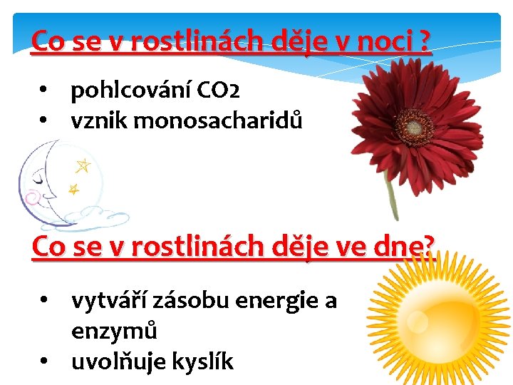 Co se v rostlinách děje v noci ? • pohlcování CO 2 • vznik