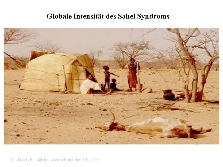 Globale Intensität des Sahel Syndroms Matthias K. B. Lüdeke, www. pik-potsdam/~luedeke 