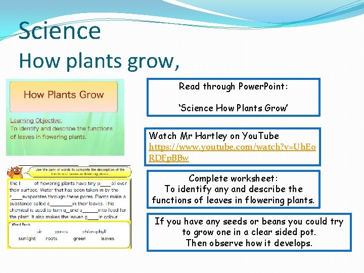 Science How plants grow, Read through Power. Point: ‘Science How Plants Grow’ Watch Mr